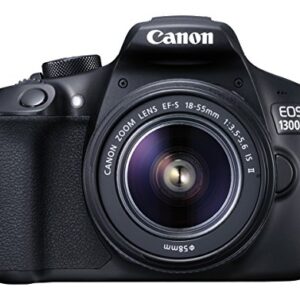 Nikon D3300 and Simple Coupon with Review